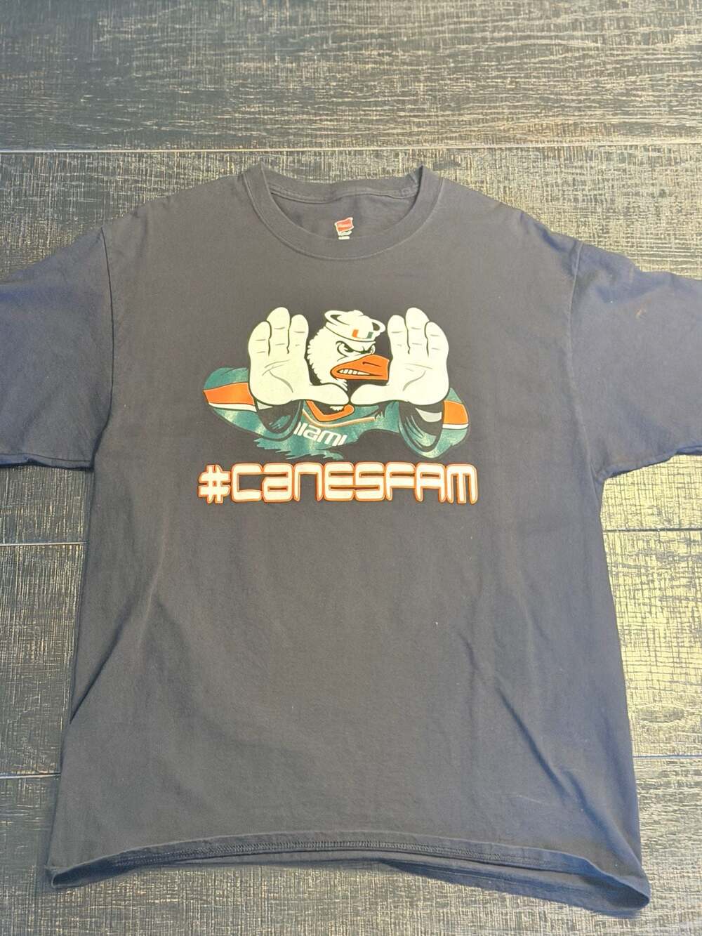 Hanes University of Miami Hurricanes #CanesFam Graphic T-Shirt